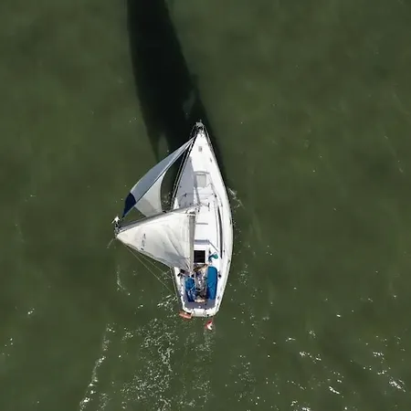 Vintage Sailboat Experience ליסבון